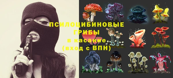 2c-b Нефтекумск