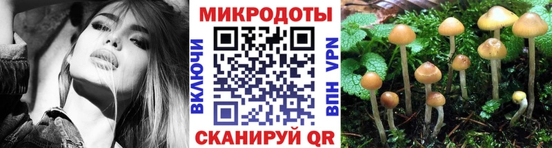 Галлюциногенные грибы Magic Shrooms  Ряжск 